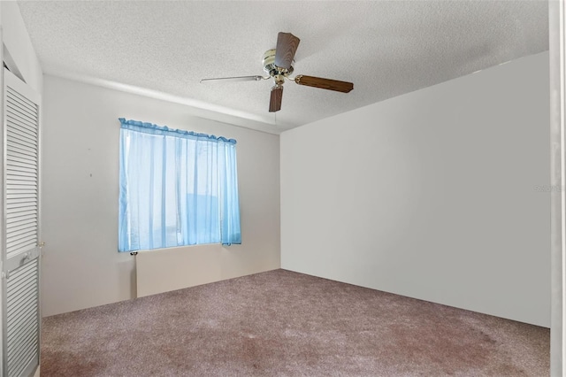 4254 Hoffman Ave, Spring Hill, FL 34606 - photo 19