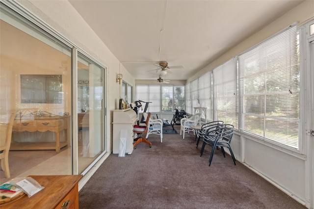4254 Hoffman Ave, Spring Hill, FL 34606 - photo 26