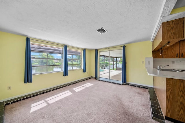 4371 Otter Way, New Port Richey, FL 34653 - unfurnished living room featuring a textured ceiling, healthy amount of natural light, and carpet