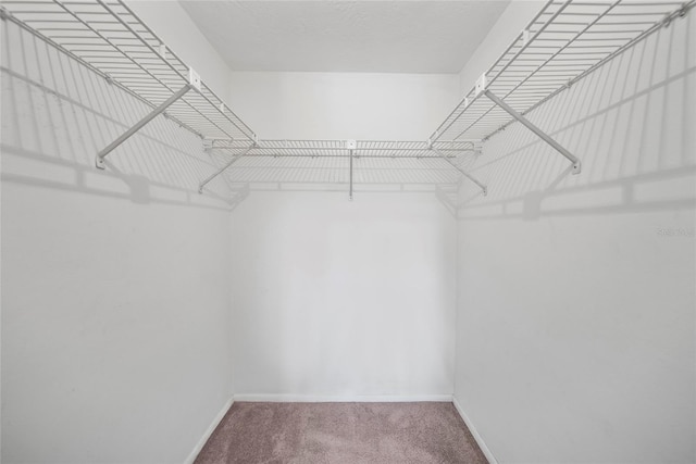 4371 Otter Way, New Port Richey, FL 34653 - walk in closet with carpet