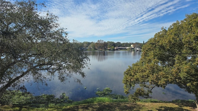 7144 E Bank Dr Unit 205, Tampa, FL 33617 - photo 15