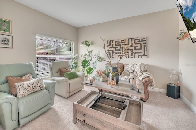 12591 Vander Way, New Port Richey, FL 34654 - living room with carpet flooring and baseboards