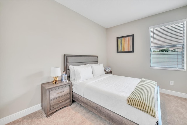 12591 Vander Way, New Port Richey, FL 34654 - bedroom featuring light carpet