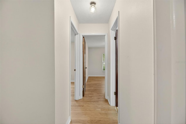 12331 Yellow Rose Cir, Riverview, FL 33569 - corridor featuring light wood-style floors and a textured ceiling