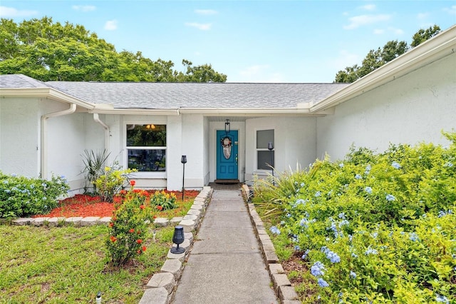 12331 Yellow Rose Cir, Riverview, FL 33569 - doorway to property featuring stucco siding and roof with shingles