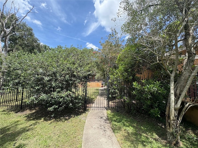 3411 Holland Dr, Brandon, FL 33511 - view of yard featuring a gate