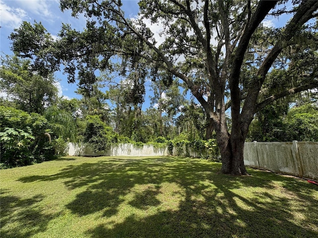 3411 Holland Dr, Brandon, FL 33511 - view of yard with a water view