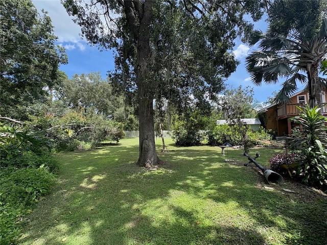 3411 Holland Dr, Brandon, FL 33511 - view of grassy yard