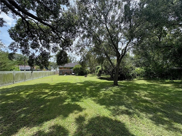 3411 Holland Dr, Brandon, FL 33511 - view of yard