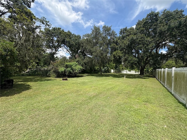 3411 Holland Dr, Brandon, FL 33511 - view of yard featuring view of scattered trees