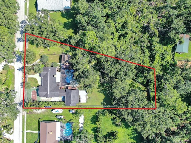 3411 Holland Dr, Brandon, FL 33511 - photo 3