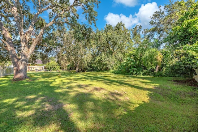 3411 Holland Dr, Brandon, FL 33511 - photo 16