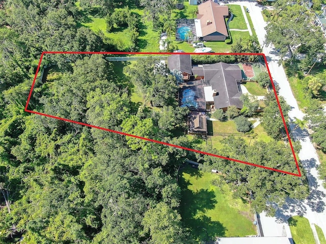 3411 Holland Dr, Brandon, FL 33511 - photo 53
