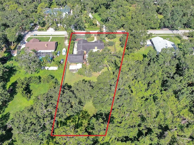 3411 Holland Dr, Brandon, FL 33511 - photo 54