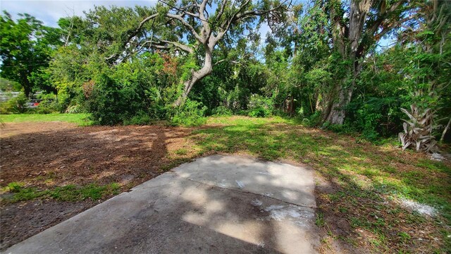 1221 30th St S, Saint Petersburg, FL 33712 - photo 11