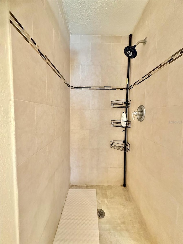 10208 Turtle Hill Ct, Tampa, FL 33615 - photo 22