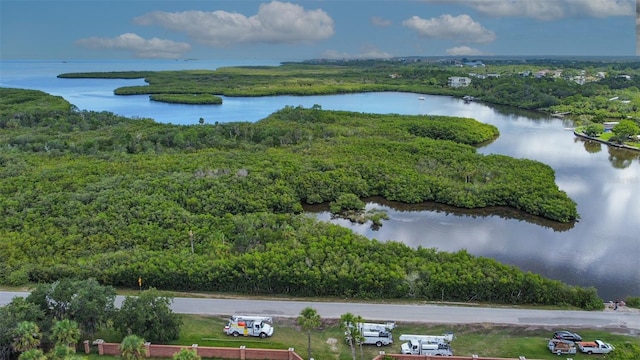 6517 Channelside Dr, New Port Richey, FL 34652 - aerial view of a forest and a nearby body of water