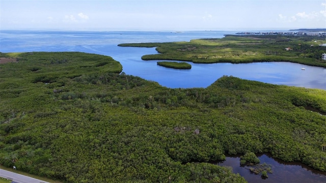 6517 Channelside Dr, New Port Richey, FL 34652 - bird's eye view of a large body of water and a forest
