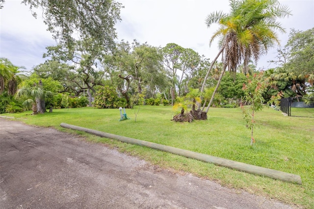 4940 Camellia Way S, Saint Petersburg, FL 33705 - photo 3