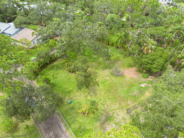 4940 Camellia Way S, Saint Petersburg, FL 33705 - photo 6