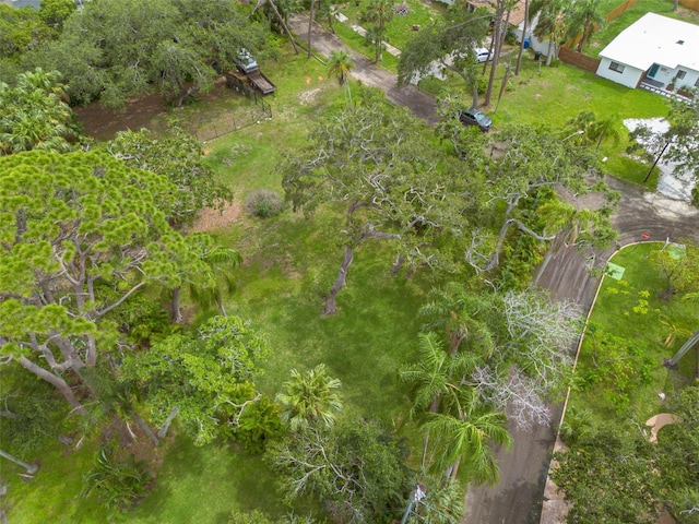 4940 Camellia Way S, Saint Petersburg, FL 33705 - photo 8