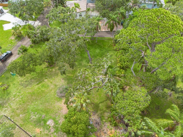 4940 Camellia Way S, Saint Petersburg, FL 33705 - photo 9