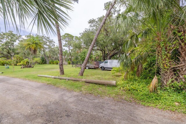 4940 Camellia Way S, Saint Petersburg, FL 33705 - photo 11