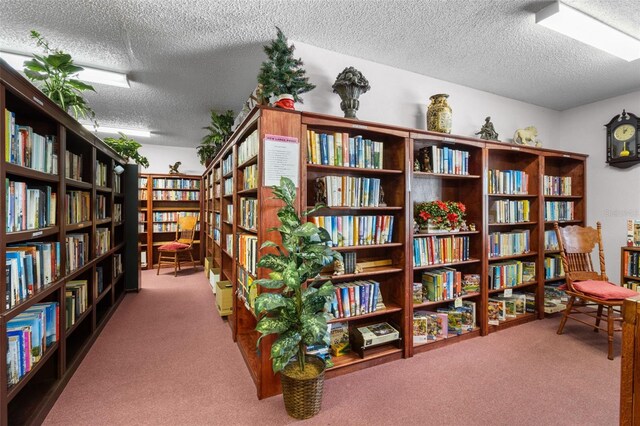 7941 58th Ave N Unit 104, Saint Petersburg, FL 33709 - photo 36