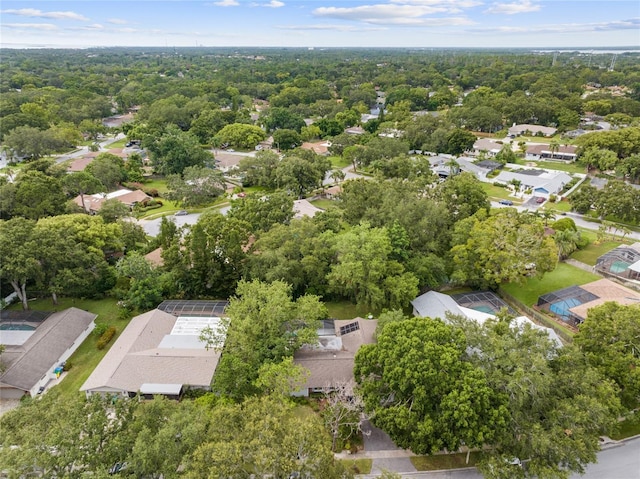 155 Woodcutter Ln, Palm Harbor, FL 34683 - photo 41