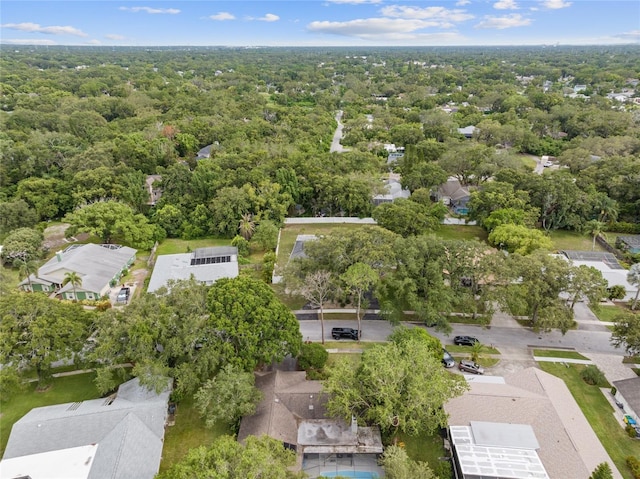 155 Woodcutter Ln, Palm Harbor, FL 34683 - photo 43
