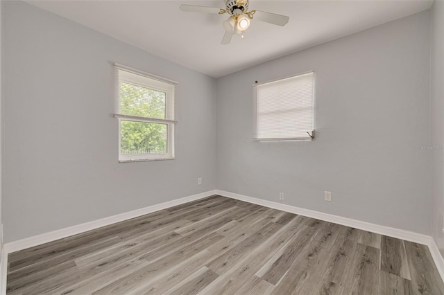 8231 59th Way N, Pinellas Park, FL 33781 - photo 16