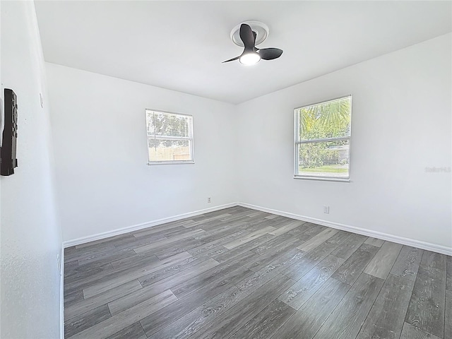 6925 79th Ave N, Pinellas Park, FL 33781 - photo 26