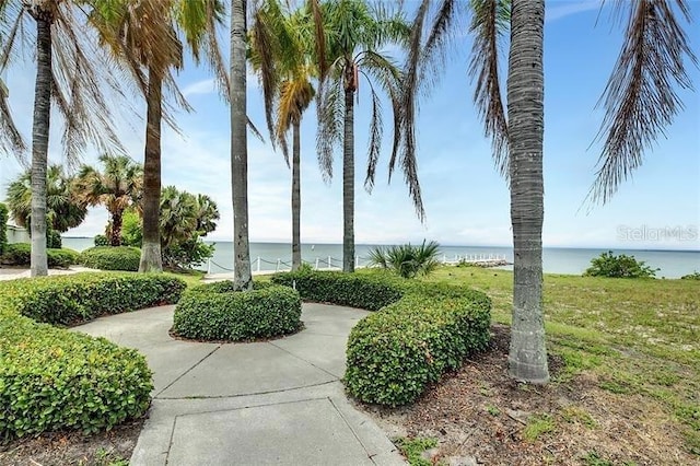 6451 Rubia Cir, Apollo Beach, FL 33572