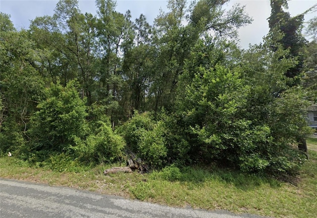 6490 E Lynn St, Inverness, FL 34452 - photo 2