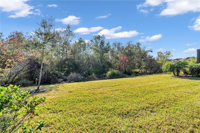 10912 Wicker Park Pl, Palmetto, FL 34221 - photo 27