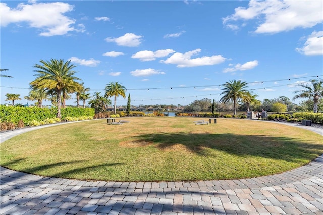 10912 Wicker Park Pl, Palmetto, FL 34221 - photo 38