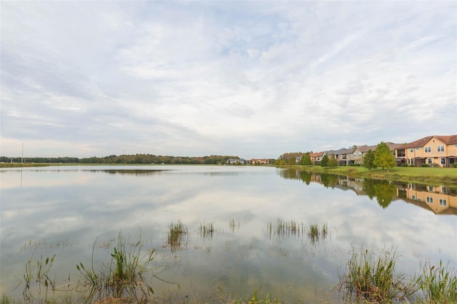 4691 Wandering Way, Wesley Chapel, FL 33544 - photo 26