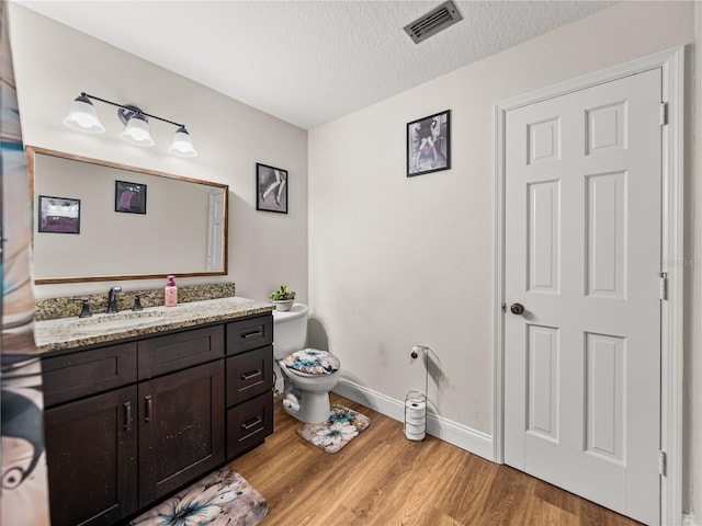 609 W Pipkin Rd, Lakeland, FL 33813 - bathroom with wood finished floors, vanity, and a textured ceiling