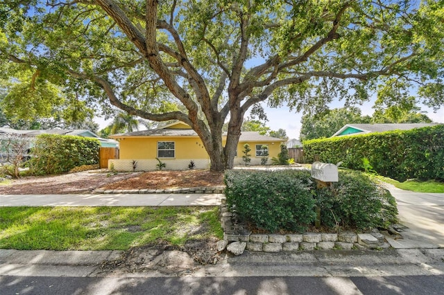 604 Limetree Dr, Oldsmar, FL 34677 - photo 57