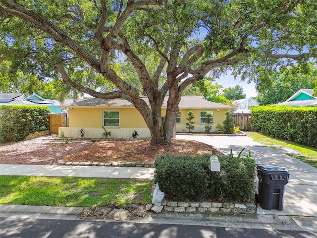 604 Limetree Dr, Oldsmar, FL 34677 - photo 60