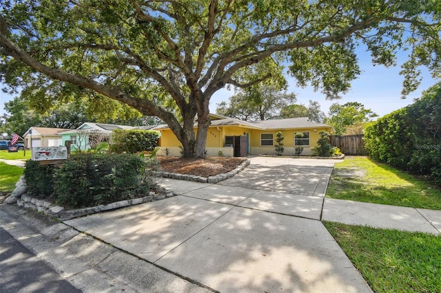 604 Limetree Dr, Oldsmar, FL 34677 - photo 68