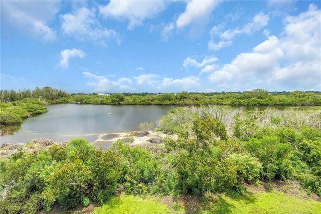 6399 Shoreline Dr Unit 4201, Saint Petersburg, FL 33708 - water view
