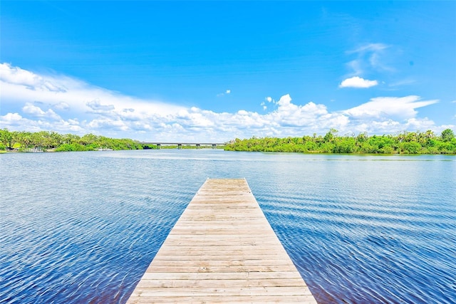 11709 Rive Isle Run, Parrish, FL 34219 - photo 22