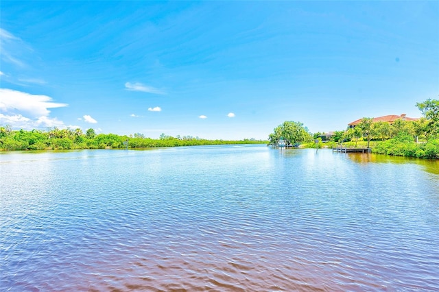 11709 Rive Isle Run, Parrish, FL 34219 - photo 24