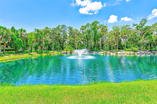11709 Rive Isle Run, Parrish, FL 34219 - photo 44