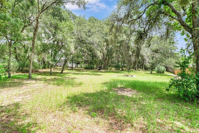 828 E Savoy St, Lecanto, FL 34461 - view of yard