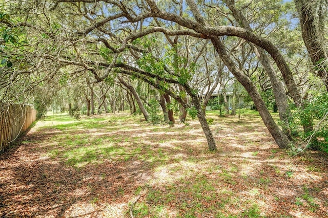 828 E Savoy St, Lecanto, FL 34461 - view of nature