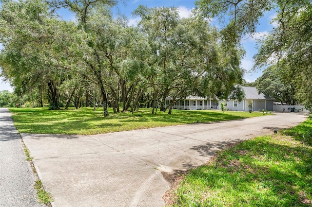 828 E Savoy St, Lecanto, FL 34461 - view of concrete driveway