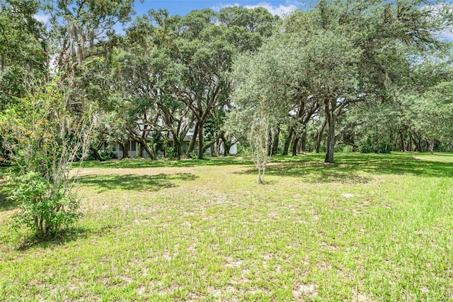 828 E Savoy St, Lecanto, FL 34461 - view of grassy yard