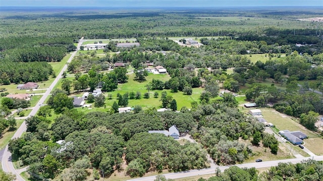 828 E Savoy St, Lecanto, FL 34461 - drone / aerial view of a heavily wooded area